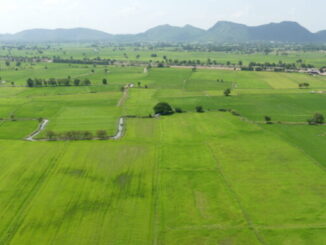 Erdbeben in Thailand