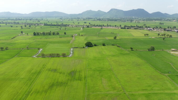 Erdbeben in Thailand